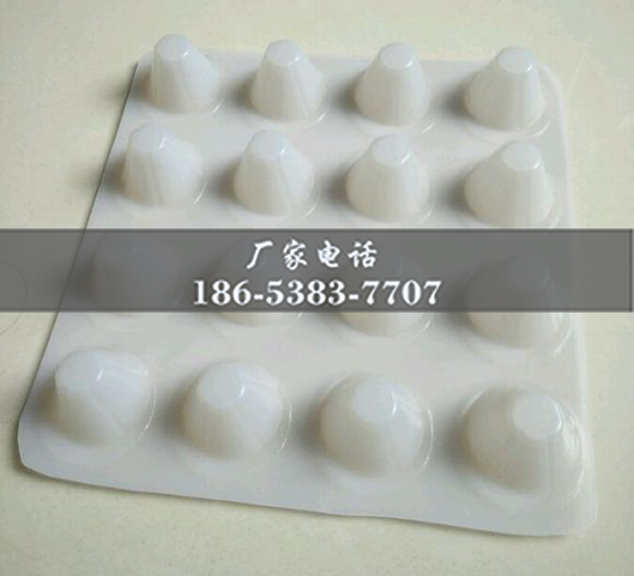 排水板廠家http://www.bjsrwy.com/