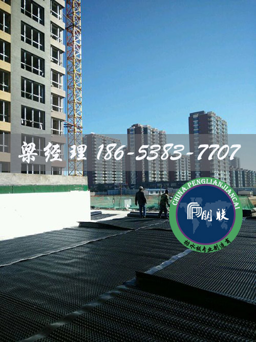 排水板廠家http://www.bjsrwy.com/